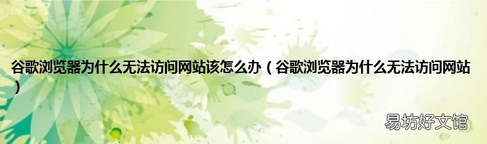 谷歌浏览器为什么无法访问网站 谷歌浏览器为什么无法访问网站该怎么办