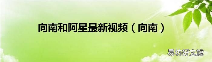 向南 向南和阿星最新视频