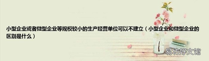 小型企业和微型企业的区别是什么 小型企业或者微型企业等规模较小的生产经营单位可以不建立