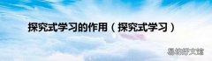探究式学习 探究式学习的作用