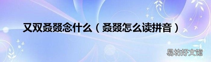 怎么读拼音 又双念什么