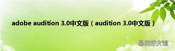 audition 3.0中文版 adobe audition 3.0中文版