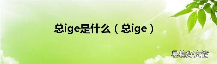 总ige 总ige是什么
