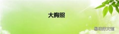 大胸照