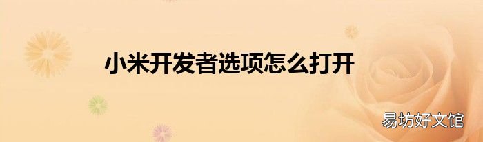 小米开发者选项怎么打开