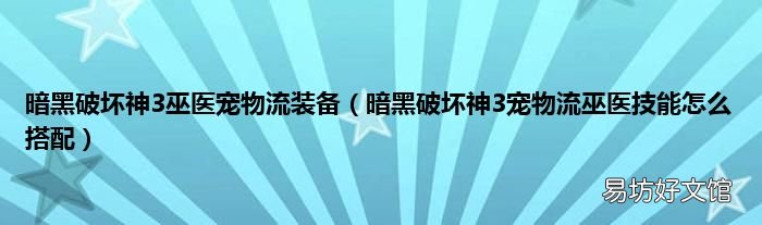 暗黑破坏神3宠物流巫医技能怎么搭配 暗黑破坏神3巫医宠物流装备