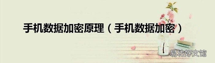 手机数据加密 手机数据加密原理