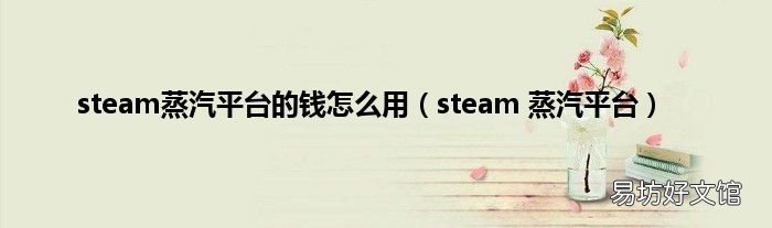 steam 蒸汽平台 steam蒸汽平台的钱怎么用