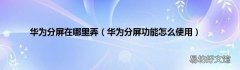 华为分屏功能怎么使用 华为分屏在哪里弄