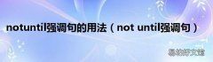 not until强调句 notuntil强调句的用法