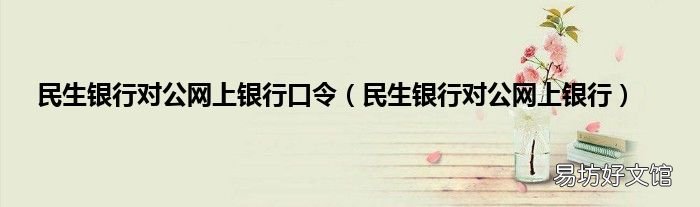 民生银行对公网上银行 民生银行对公网上银行口令