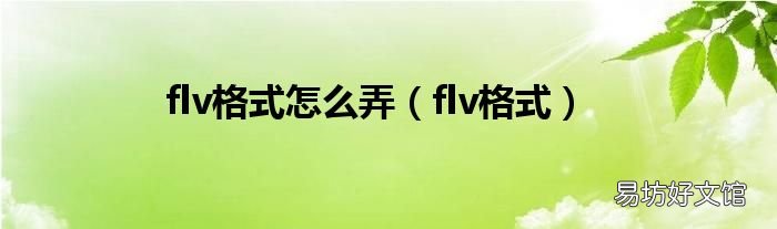flv格式 flv格式怎么弄