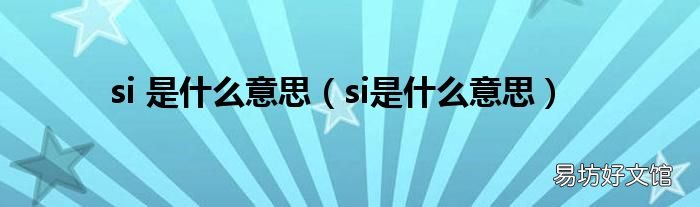 si是什么意思 si 是什么意思
