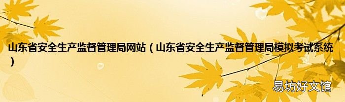 山东省安全生产监督管理局模拟考试系统 山东省安全生产监督管理局网站