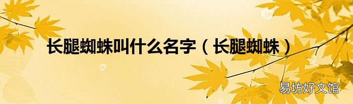 长腿蜘蛛 长腿蜘蛛叫什么名字