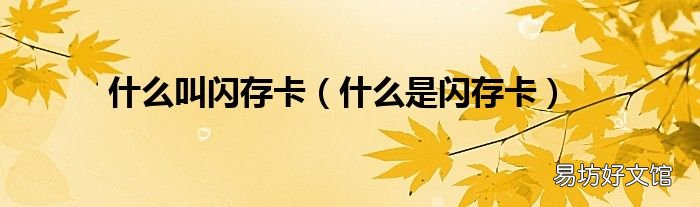 什么是闪存卡 什么叫闪存卡