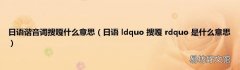 日语 ldquo 搜嘎 rdquo 是什么意思 日语谐音词搜嘎什么意思