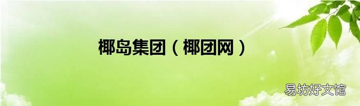椰团网 椰岛集团