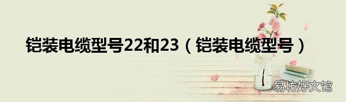 铠装电缆型号 铠装电缆型号22和23