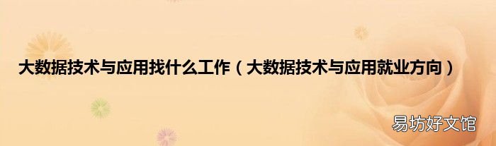 大数据技术与应用就业方向 大数据技术与应用找什么工作