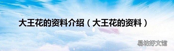 大王花的资料 大王花的资料介绍