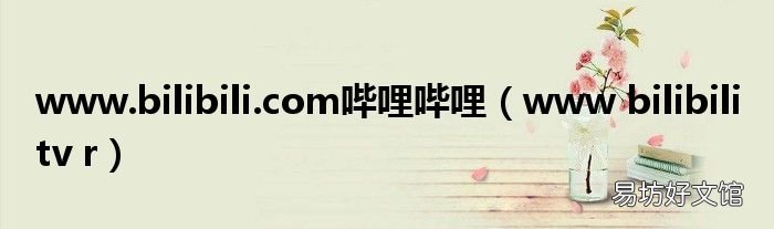 www bilibili tv r www.bilibili.com哔哩哔哩