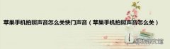 苹果手机拍照声音怎么关 苹果手机拍照声音怎么关快门声音