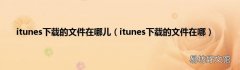 itunes下载的文件在哪 itunes下载的文件在哪儿