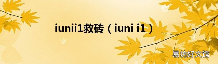 iuni i1 iunii1救砖