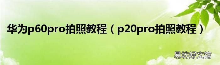 p20pro拍照教程 华为p60pro拍照教程