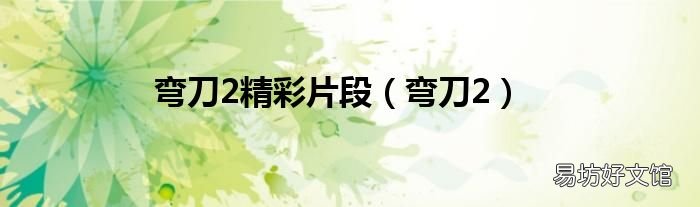 弯刀2 弯刀2精彩片段