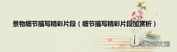 细节描写精彩片段加赏析 景物细节描写精彩片段