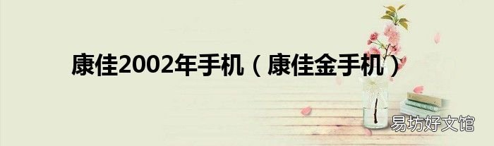 康佳金手机 康佳2002年手机