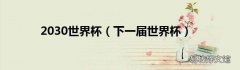 下一届世界杯 2030世界杯