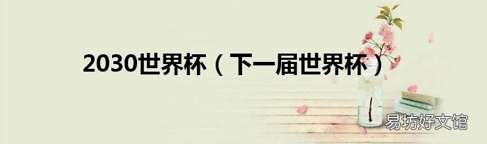 下一届世界杯 2030世界杯
