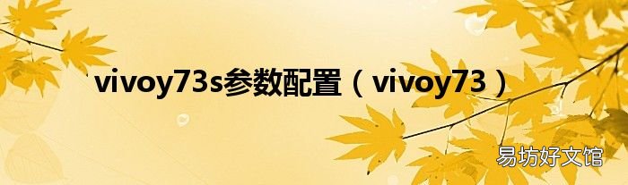 vivoy73 vivoy73s参数配置