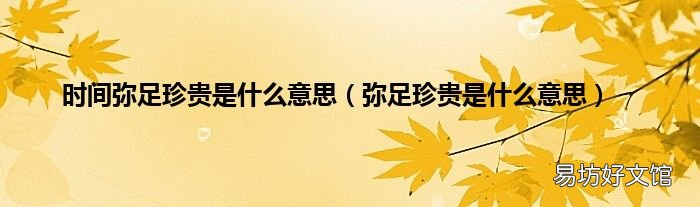 弥足珍贵是什么意思 时间弥足珍贵是什么意思