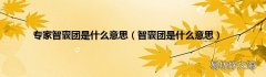 智囊团是什么意思 专家智囊团是什么意思