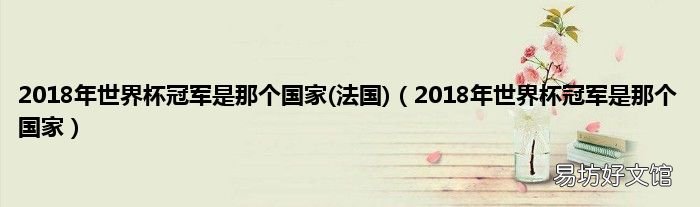 法国 2018年世界杯冠军是那个国家 2018年世界杯冠军是那个国家