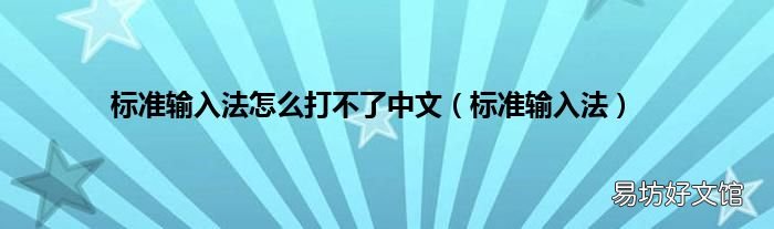 标准输入法 标准输入法怎么打不了中文