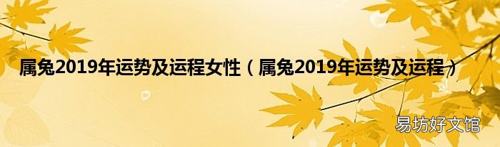 属兔2019年运势及运程 属兔2019年运势及运程女性