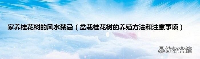 盆栽桂花树的养殖方法和注意事项 家养桂花树的风水禁忌