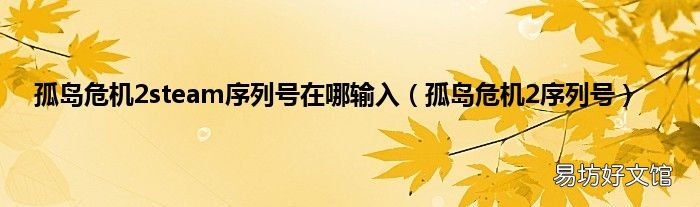 孤岛危机2序列号 孤岛危机2steam序列号在哪输入