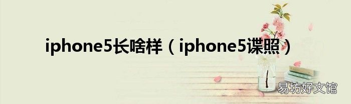 iphone5谍照 iphone5长啥样