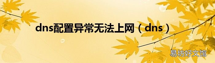 dns dns配置异常无法上网