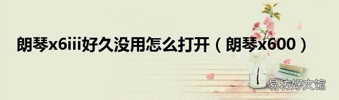 朗琴x600 朗琴x6iii好久没用怎么打开