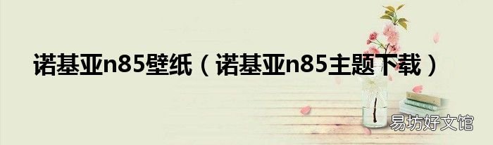 诺基亚n85主题下载 诺基亚n85壁纸