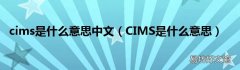 CIMS是什么意思 cims是什么意思中文