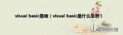 visual basic是什么意思 visual basic是啥