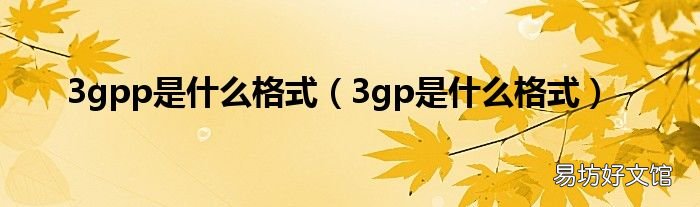 3gp是什么格式 3gpp是什么格式